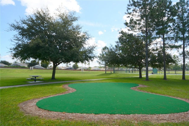 view of community featuring a yard