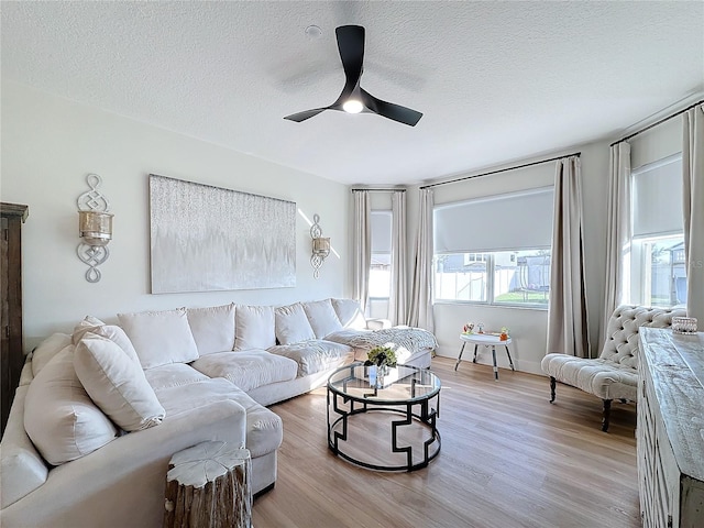 living room featuring ceiling fan, light hardwood / wood-style floors, and a textured ceiling