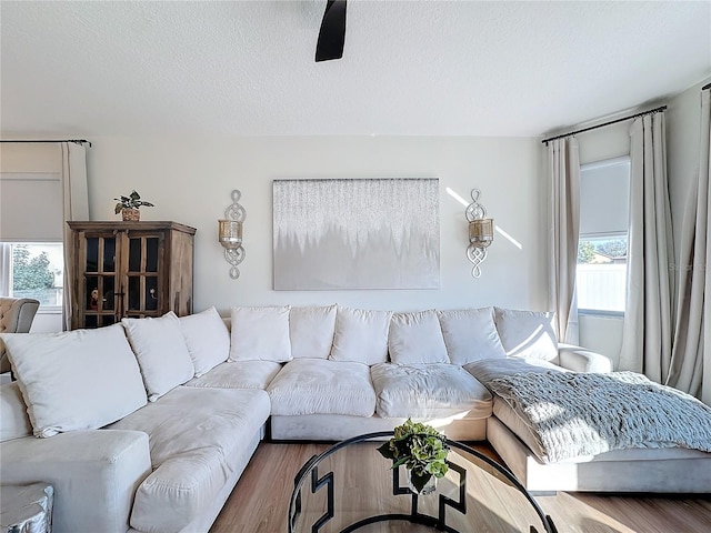 living room featuring hardwood / wood-style flooring, ceiling fan, and a textured ceiling