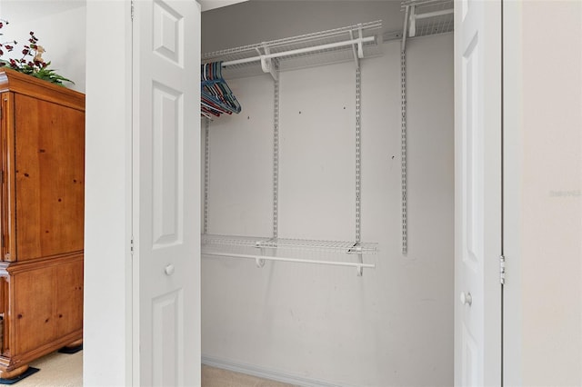 view of closet