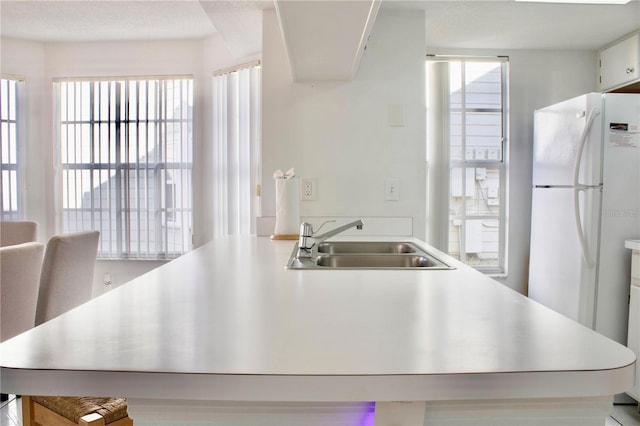 kitchen with sink and white fridge