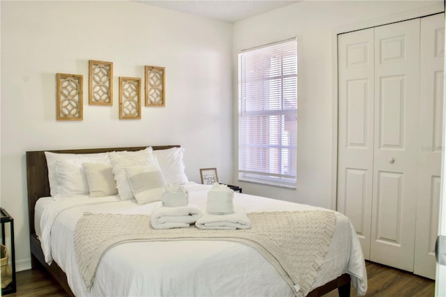 bedroom featuring a closet, dark hardwood / wood-style flooring, and multiple windows