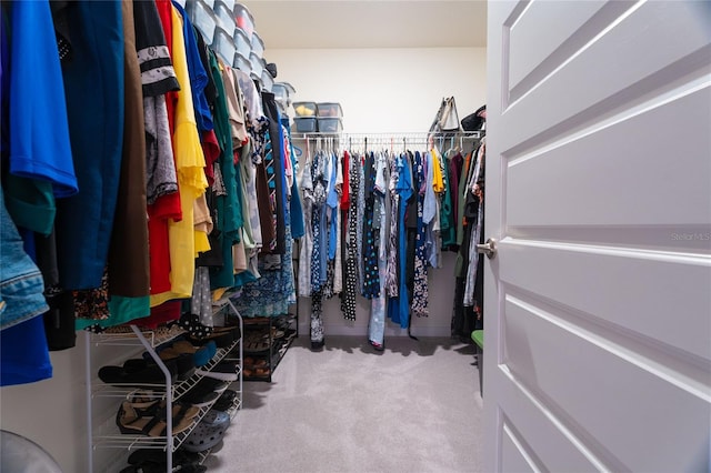 walk in closet with carpet flooring