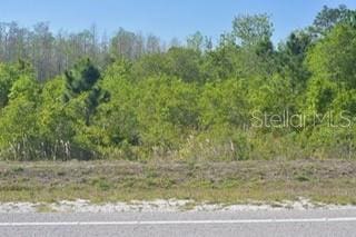 Listing photo 3 for Address Not Disclosed, Saint Cloud FL 34771