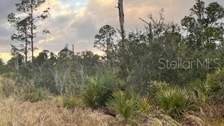 215 Vireo Ave, Sebring FL, 33870 land for sale