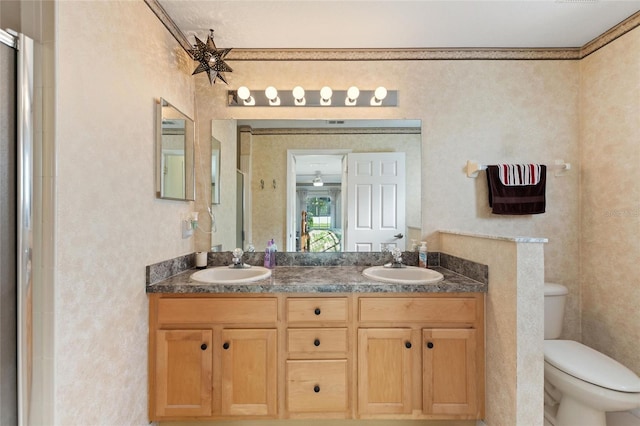 bathroom with vanity, an enclosed shower, and toilet