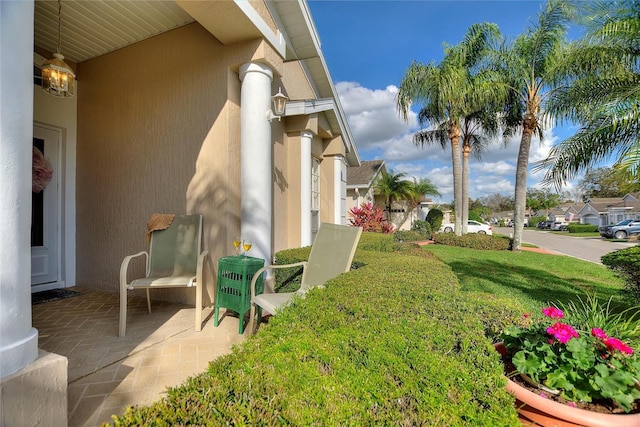 view of yard featuring a patio area