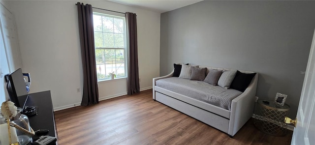 sitting room featuring hardwood / wood-style flooring