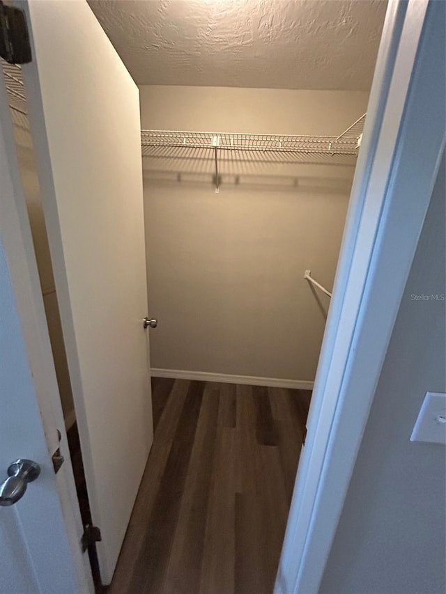 spacious closet featuring wood finished floors