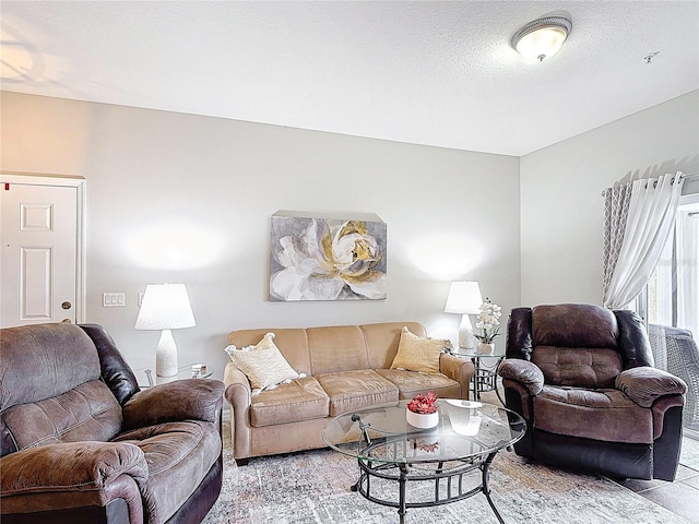 living area with a textured ceiling