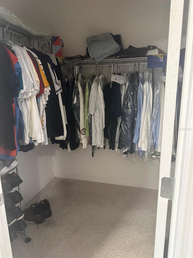 view of walk in closet