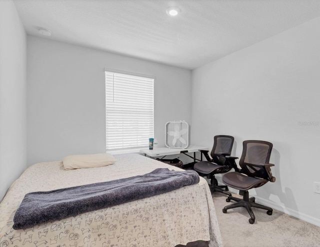 bedroom with carpet flooring