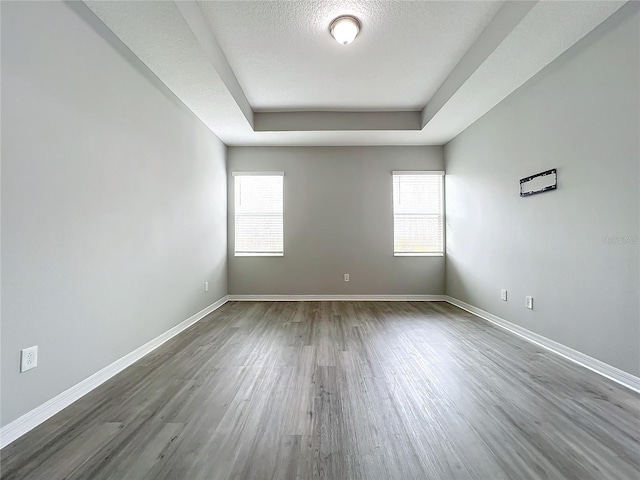 spare room featuring a healthy amount of sunlight, baseboards, and a tray ceiling