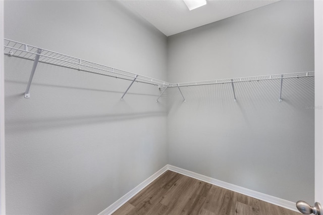 2559 Sedge Grass Way, Orlando, FL 32824 - photo 23
