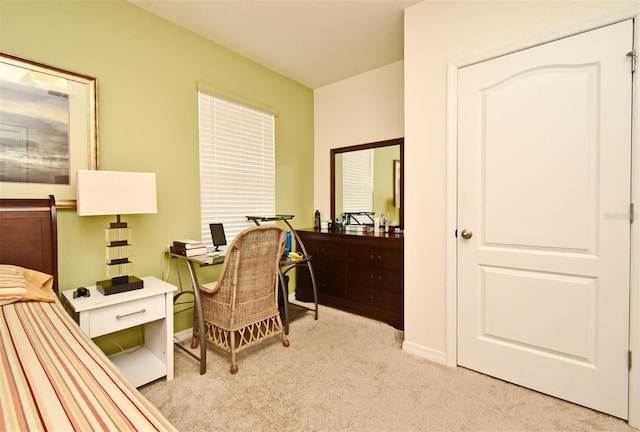 interior space with light colored carpet