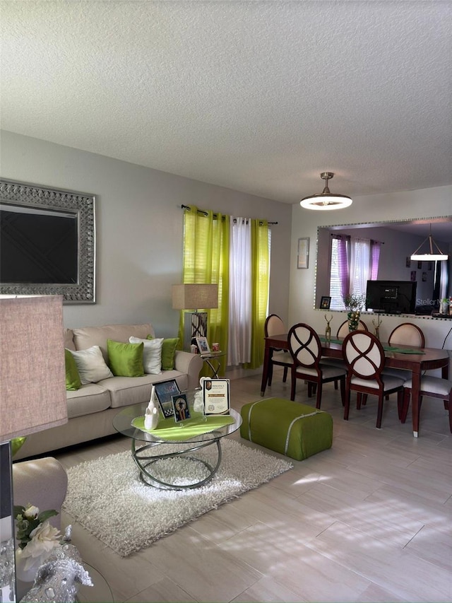 living room with a textured ceiling