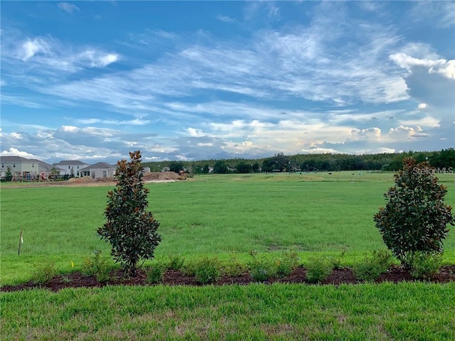 view of yard with a rural view