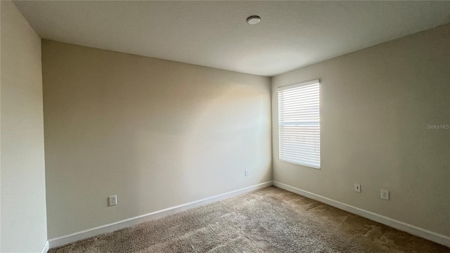 spare room featuring carpet floors