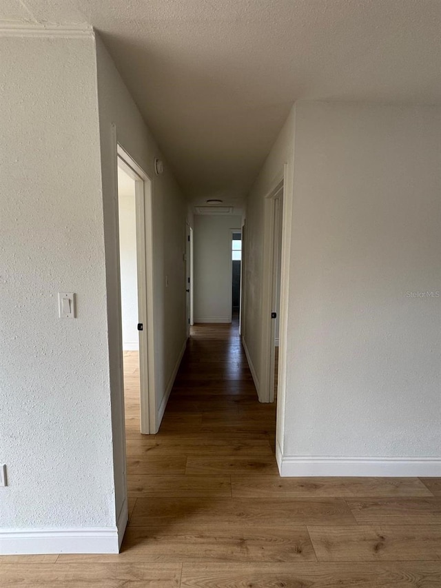 corridor with hardwood / wood-style floors and a textured ceiling