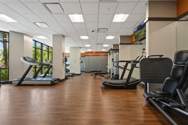 gym featuring floor to ceiling windows, dark hardwood / wood-style floors, and a drop ceiling