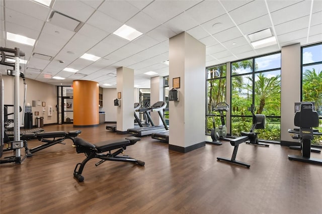 exercise room featuring floor to ceiling windows, wood-type flooring, and a drop ceiling