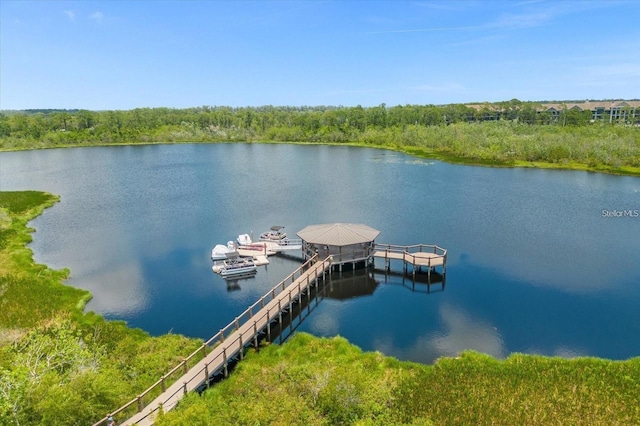 view of dock with a water view