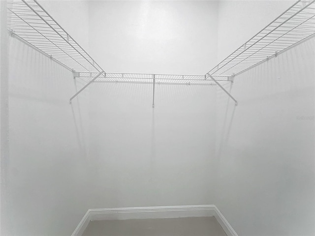 view of walk in closet