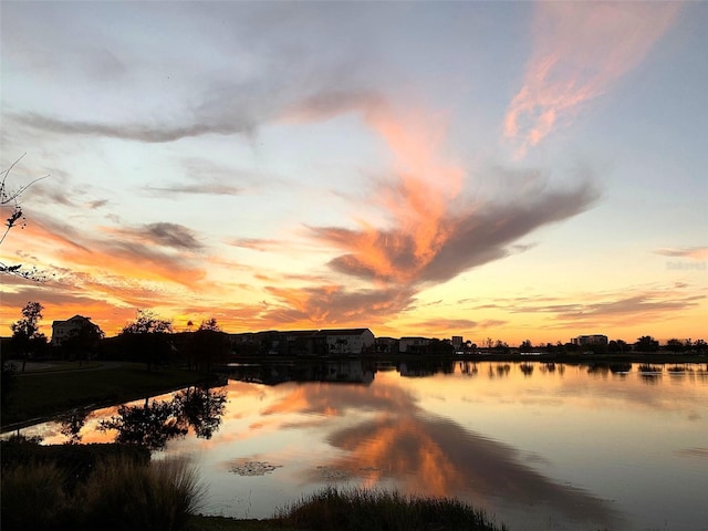 property view of water