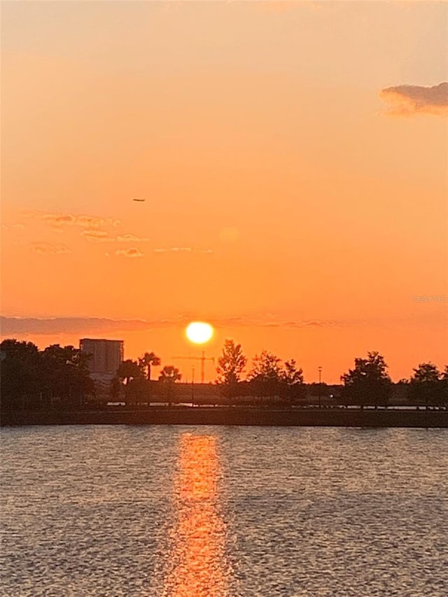 property view of water