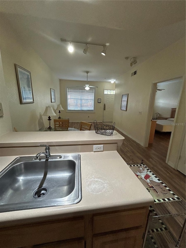 kitchen featuring dark wood-type flooring and sink