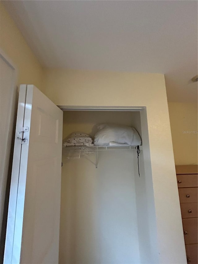 view of closet