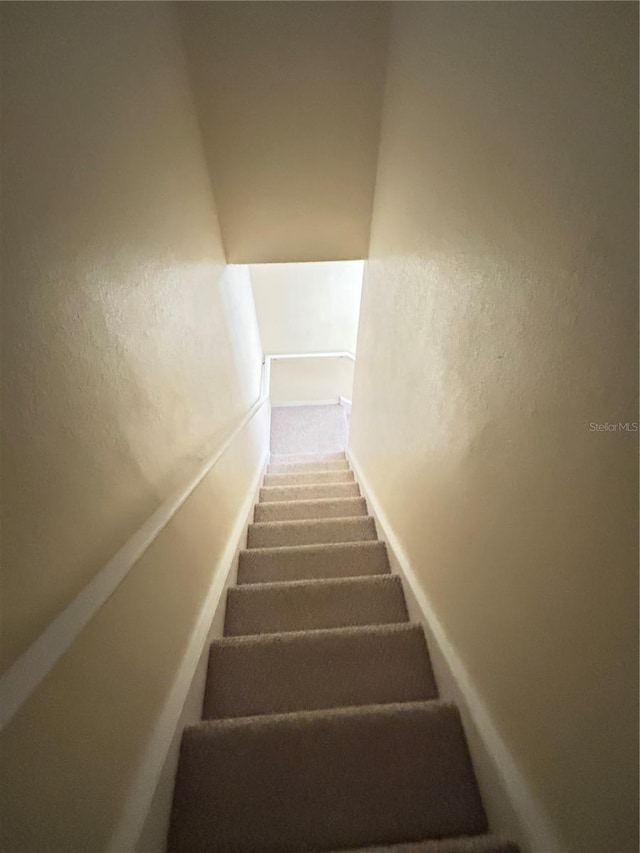 stairway with carpet flooring