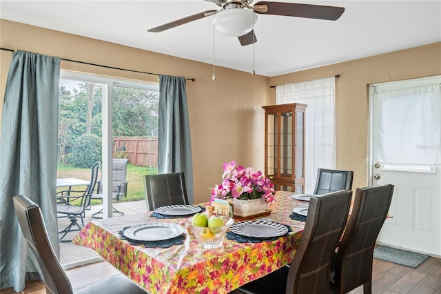 dining space with ceiling fan and light wood-type flooring