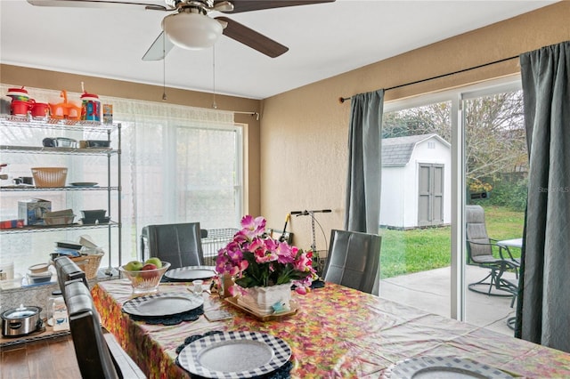 dining space with ceiling fan and hardwood / wood-style floors