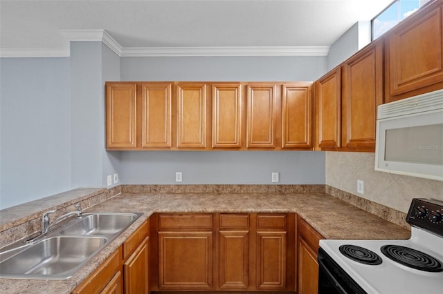 kitchen featuring electric stove, crown molding, and sink