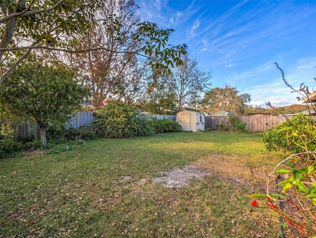 view of yard featuring a shed