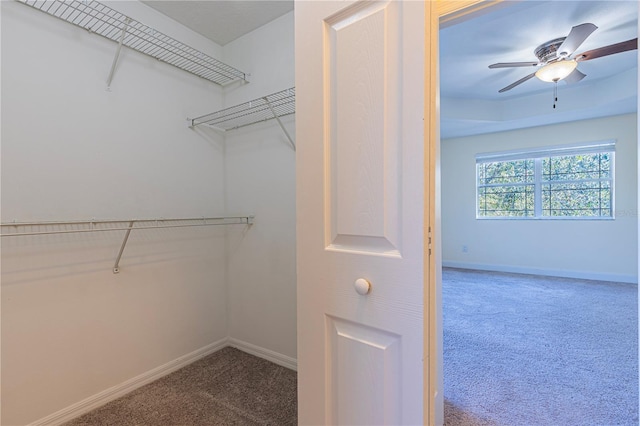 walk in closet with carpet floors and ceiling fan