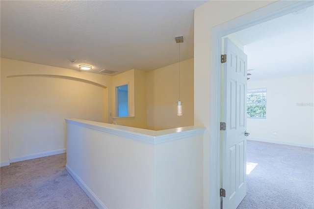 hall featuring carpet floors and a textured ceiling