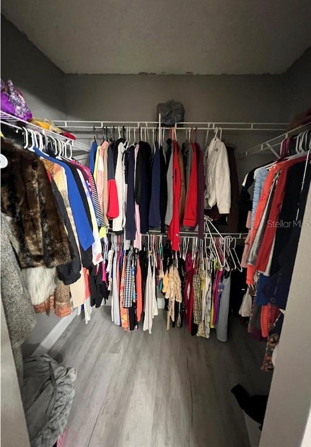 spacious closet with hardwood / wood-style floors