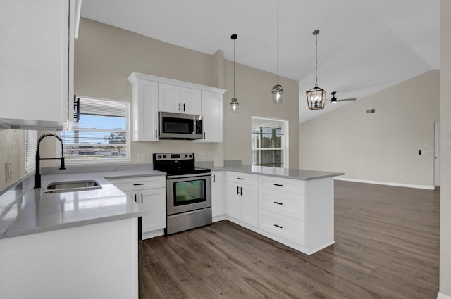 kitchen featuring a peninsula, dark wood-style flooring, a sink, appliances with stainless steel finishes, and a wealth of natural light