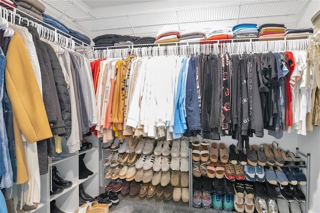 view of spacious closet