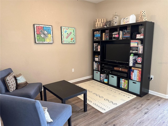 living room with wood-type flooring