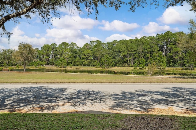 view of street with a water view and curbs