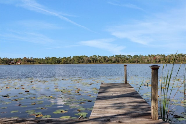 view of dock featuring a water view