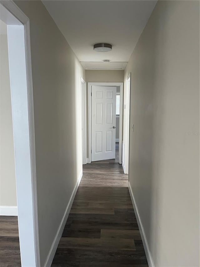 hallway featuring dark hardwood / wood-style floors