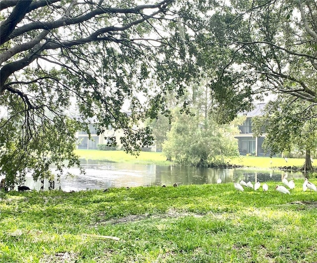 view of water feature