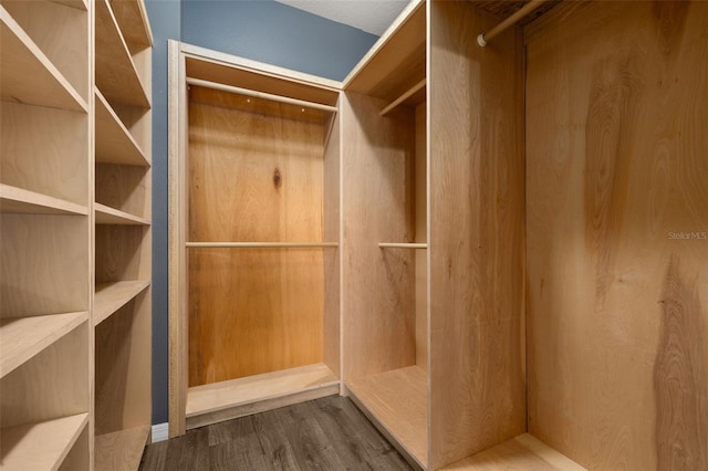 spacious closet featuring wood finished floors