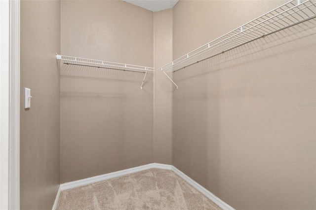 walk in closet featuring carpet flooring