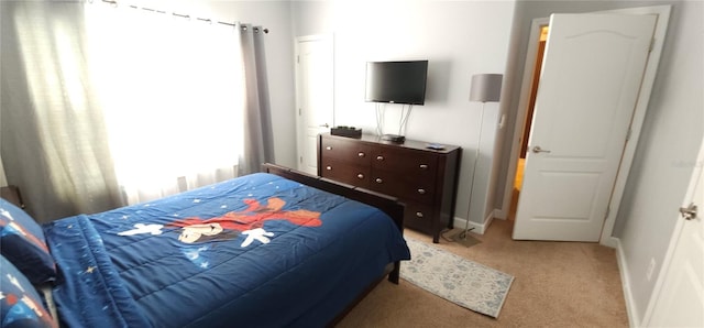 bedroom with carpet floors