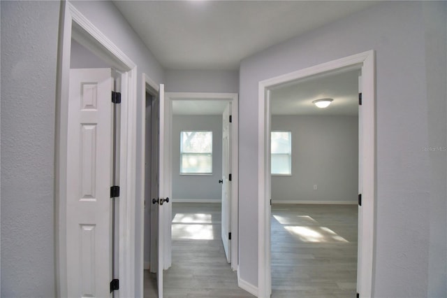 hall with light wood-type flooring